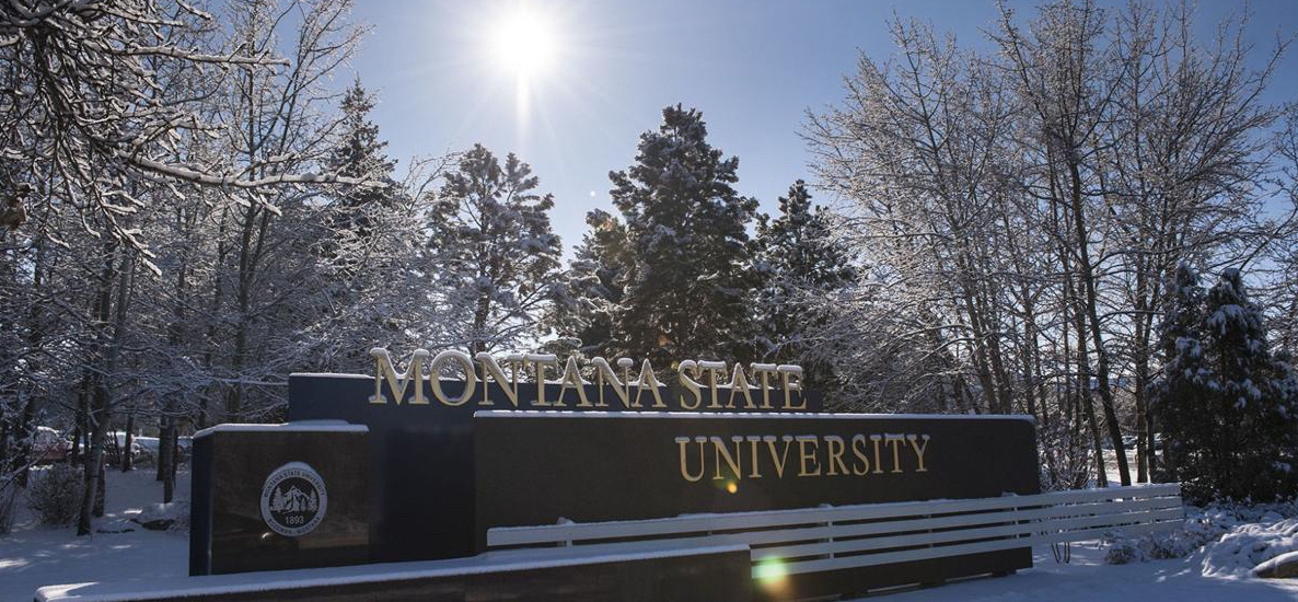 Montana Eyalet Üniversitesi